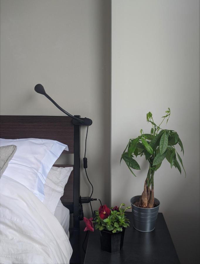 Holodek Apartments : Parthenon เอเธนส์ ภายนอก รูปภาพ